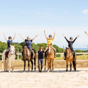 Immersion Technique & Langage du Cheval sur 5 jours